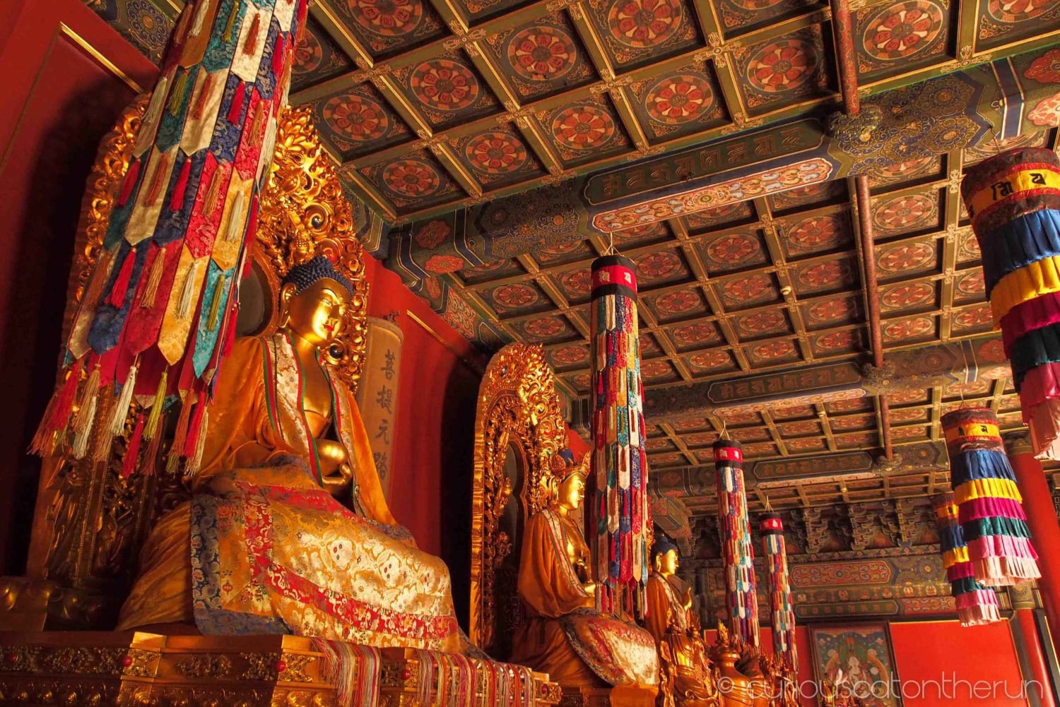 Pechino: Tour guidato del Tempio di Lama e del Tempio del Cielo