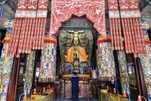 Beijing: Lama Tempel en Tempel van de Hemel rondleiding