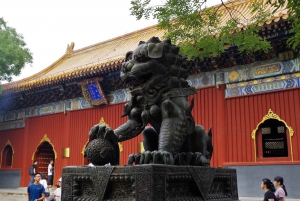 Pekín: Templo de Lama, Templo de Confucio y Museo Guozijian