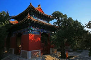 Pekín: Templo de Lama, Templo de Confucio y Museo Guozijian