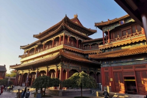 Prenotazione biglietti per il Tempio di Lama o il Tempio di Confucio di Pechino