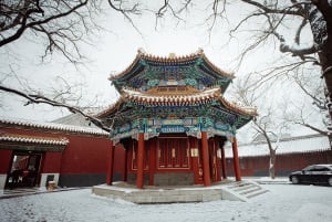 Peking: Lama-Tempel E-Ticket oder Ganztagestour mit geführter Stadtführung