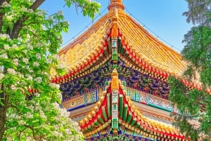 Peking: Lama-Tempel E-Ticket oder Ganztagestour mit geführter Stadtführung