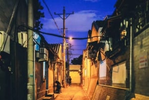 北京：ラマ寺入場券とオプションのガイドツアー