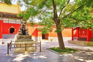 Pequim: Ingresso para o Templo Lama e tour guiado opcional