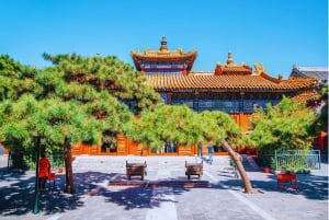 Pequim: Ingresso para o Templo Lama e tour guiado opcional