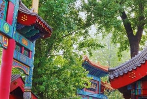 Pequim: Ingresso para o Templo Lama e tour guiado opcional