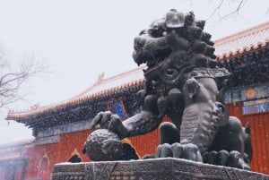 Reservation af entrébillet til lama-templet og valgfrie ting