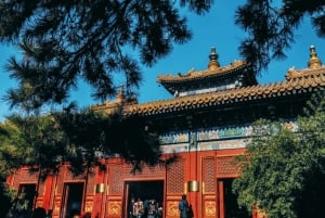 Peking: Yonghe Temple (Yonghe Temple) Pääsylippu.