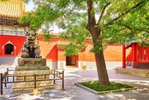 Peking: Lama-Tempel E-Ticket oder Ganztagestour mit geführter Stadtführung