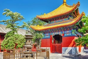 Peking: Lama-Tempel E-Ticket oder Ganztagestour mit geführter Stadtführung