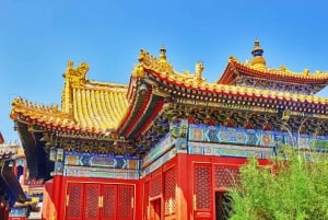 Peking: Lama-Tempel E-Ticket oder Ganztagestour mit geführter Stadtführung