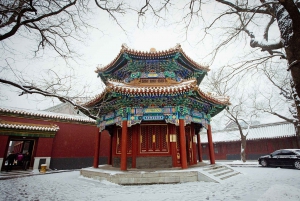 Peking: Lama-Tempel E-Ticket oder Ganztagestour mit geführter Stadtführung