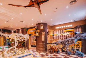 Beijing: Meland Club Innendørs lekeplass Inngang