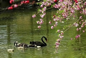 Jednodniowa wycieczka do muru w Mutianyu, Pałacu Letniego i Starego Pałacu Letniego