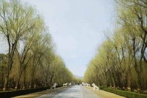 Beijing: Mutianyu-muren og Ming-gravene - privat omvisning