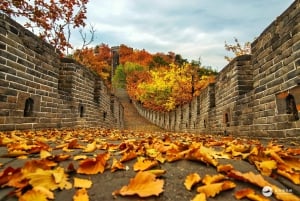 Peking: Mutianyu-muurikierrokset lipulla ja buffet-lounaalla