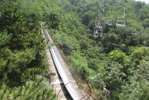 Peking: Mutianyu Great Wall Tour und China Aviation Museum