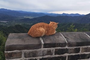 Pechino: tour in autobus guidato della Grande Muraglia di Mutianyu (ENG/ESP/RUS)