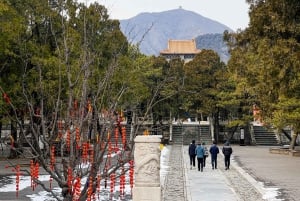 Beijing: Den kinesiske mur og Ming-graven - privat utflukt