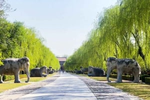 Beijing: Den kinesiske mur og Ming-graven - privat utflukt