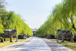 Beijing: Den kinesiske mur og Ming-graven - privat utflukt
