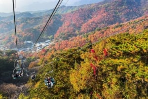 Peking: Mutianyu Great Wall Capital Airport Layover Tour