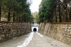 Peking: Mutianyu Great Wall Capital Airport Layover Tour