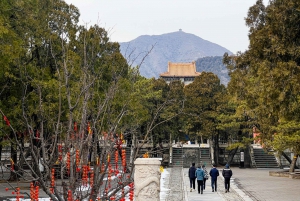 Peking: Mutianyu Great Wall Capital Airport Layover Tour