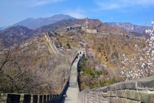 Beijing: Mutianyu/Badaling Grote Muur-tour met VIP-snelpas