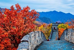 Beijing: Mutianyu/Badaling Grote Muur-tour met VIP-snelpas