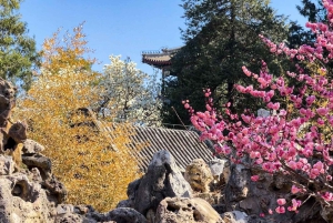 Pekin: Wielki Mur Mutianyu + Pałac Letni lub Świątynia Nieba