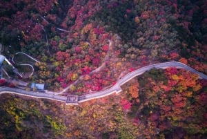 Peking: Mutianyu-muren dag/kväll biljett (turalternativ)