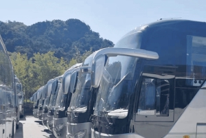 Peking: Mutianyu-muurikierrokset lipulla ja buffet-lounaalla