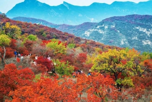 Pékin : visite privative VIP de la Grande Muraille de Mutianyu avec fondue chinoise