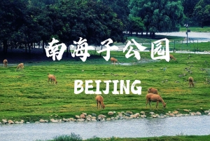 Beijing: Udforsk Nanhaizi Park – vådområdereservat