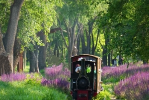 Beijing: Udforsk Nanhaizi Park – vådområdereservat