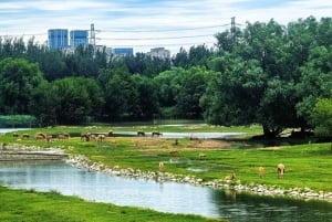 Beijing: Udforsk Nanhaizi Park – vådområdereservat