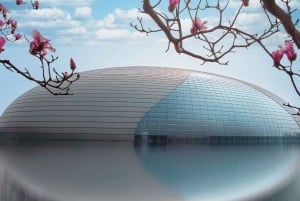 Beijing: Natinonal Center For The Peformance Arts Ticket