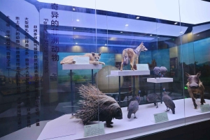 Beijing: Natural History Museum of China ticket+Guidebook