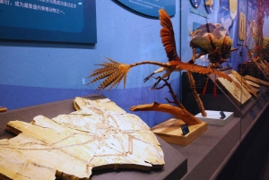 Beijing: Natural History Museum of China ticket+Guidebook