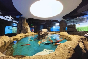 Beijing: Natural History Museum of China ticket+Guidebook