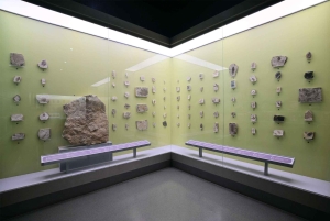 Beijing: Natural History Museum of China ticket+Guidebook