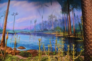 Beijing: Natural History Museum of China ticket+Guidebook