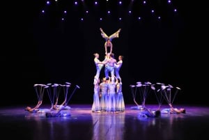 Beijing: Night Tour of Acrobatics Show Including Transfer