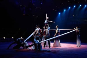 Beijing: Night Tour of Acrobatics Show Including Transfer