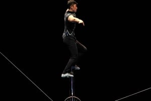 Beijing: Night Tour of Acrobatics Show Including Transfer