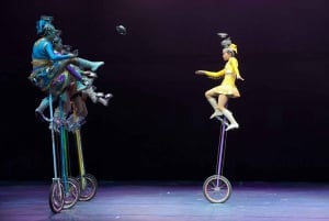 Beijing: Night Tour of Acrobatics Show Including Transfer