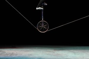 Пекин: Ночная экскурсия по акробатическому шоу, включая трансфер