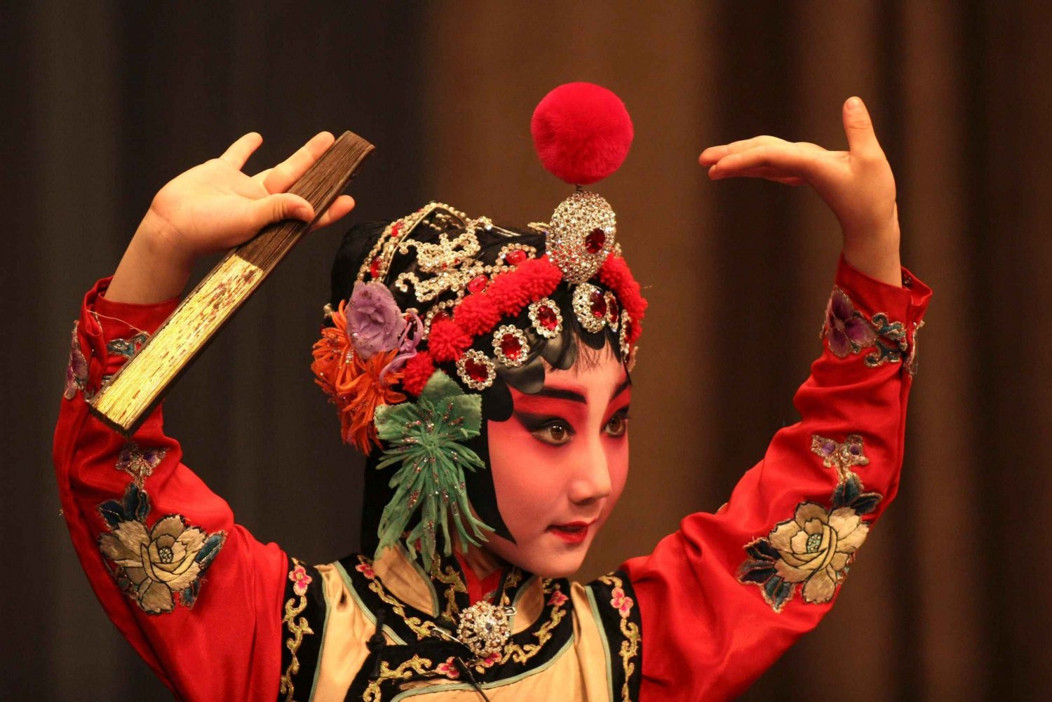 Beijing: Nattetur til Peking Opera Show / Transfer